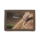 Personalised Baby Bearded Dragon Lizard