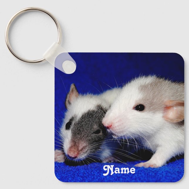 Personalised Baby Fancy Pet Rat Pups Key Ring (Front)