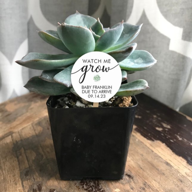 Personalised Baby Shower Succulent Favour  Classic Round Sticker (Creator Uploaded)