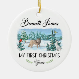 Personalised Baby's First Christmas Ornament
