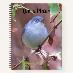 Personalised Backyard Bird Notebook