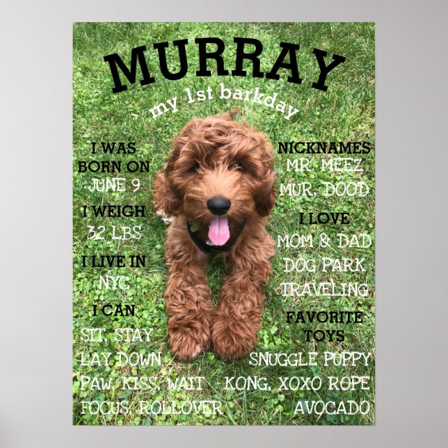 Personalised BARKday Dog Birthday Party Milestone Poster (Front)