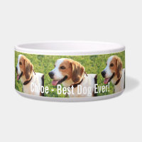 Personalised Beagle Dog Photo and Dog Name