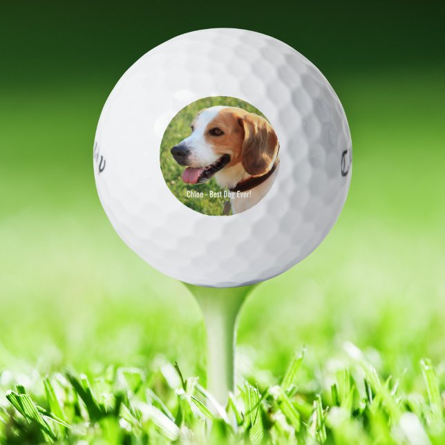 Personalised Beagle Dog Photo and Dog Name Golf Balls (Creator Uploaded)