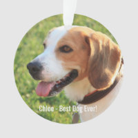Personalised Beagle Dog Photo and Dog Name