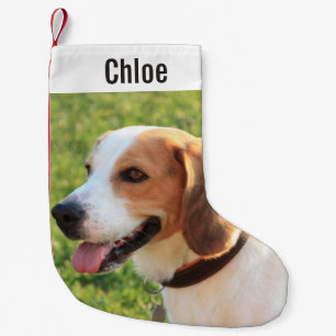 Personalised Beagle Dog Photo and Dog Name Small Christmas Stocking