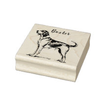 Personalised Beagle