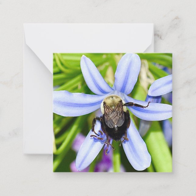 Personalised bee in flower mini notecards (Front)