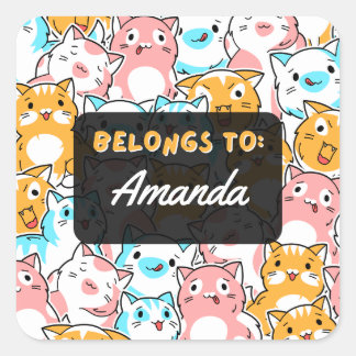 Personalised BELONGS TO Cat Square Sticker