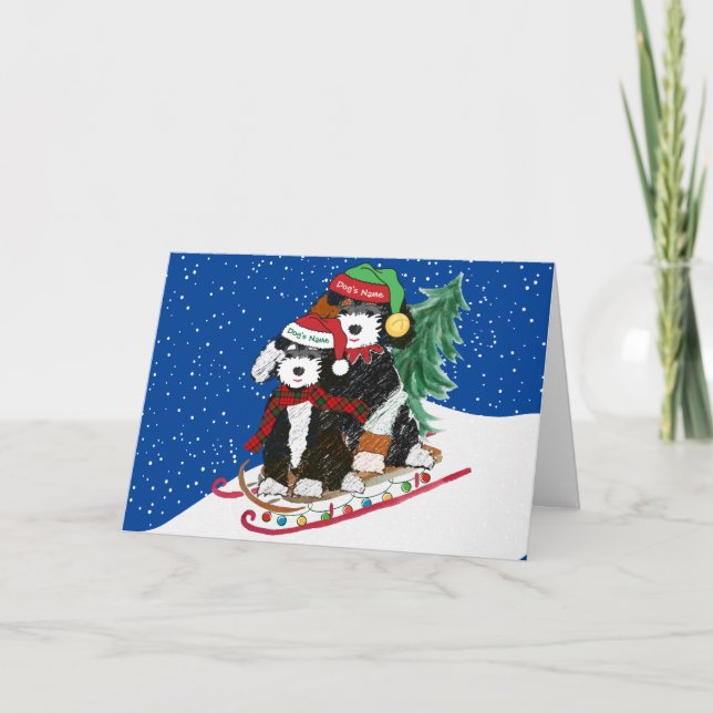 Personalised Bernedoodles Decorated Christmas Sled Holiday Card (Front)