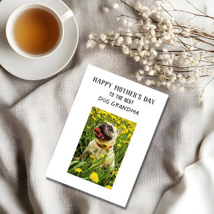 Personalised Best Dog Grandma Funny Mother's Day Holiday Card