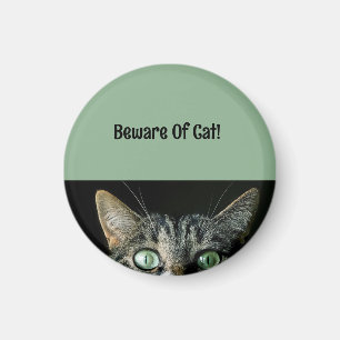 Personalised Beware Of Cat Green Magnet