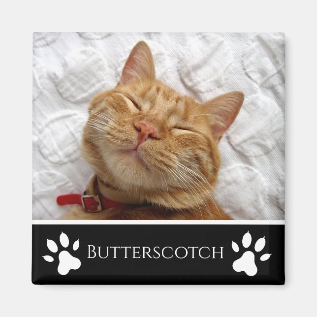 Personalised Black Add-a-Cat Photo  Magnet (Front)