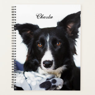 Personalised Black and White Border Collie Planner