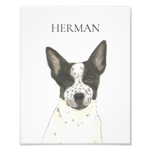 Personalised Black and White Heeler Cattledog Photo Print