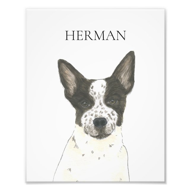 Personalised Black and White Heeler Cattledog Photo Print (Front)