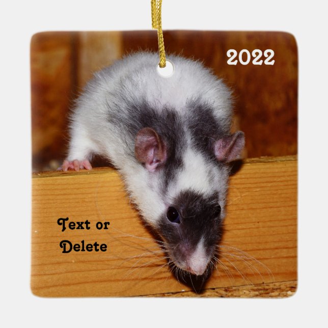 Personalised Black and White Masked Pet Rat Ceramic Ornament (Front)
