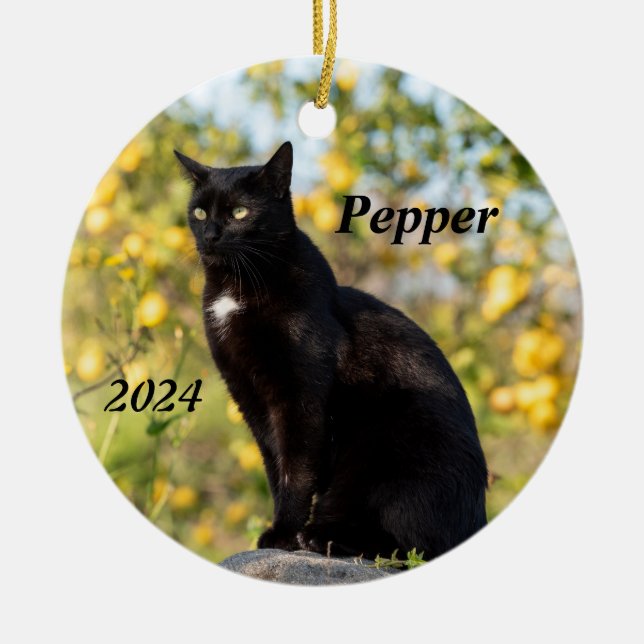 Personalised Black Cat Ceramic Ornament (Front)