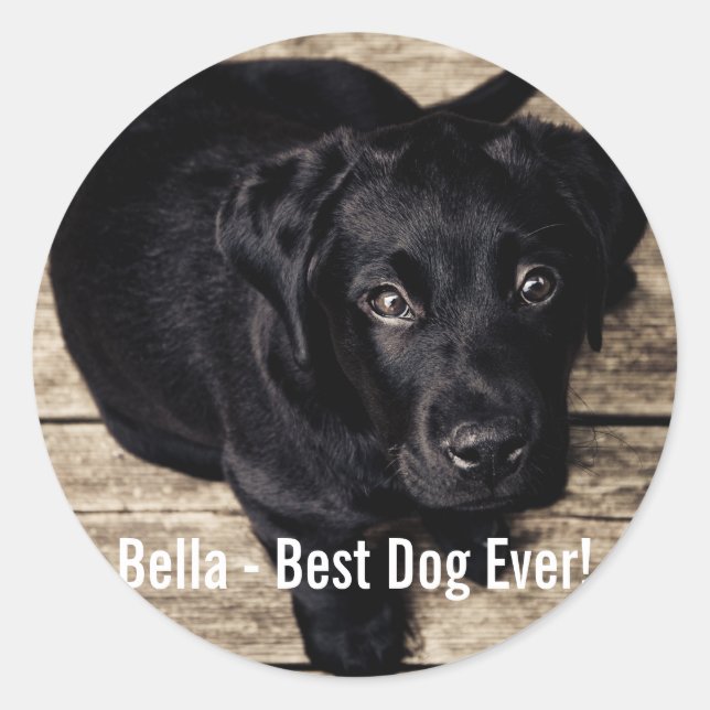 Personalised Black Lab Dog Photo and Dog Name Classic Round Sticker (Front)