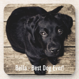 Personalised Black Lab Dog Photo and Dog Name Coaster