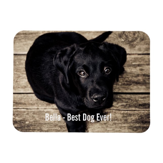Personalised Black Lab Dog Photo and Dog Name Magnet (Horizontal)