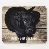 Personalised Black Lab Dog Photo and Dog Name
