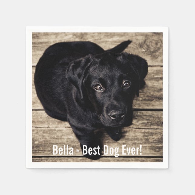Personalised Black Lab Dog Photo and Dog Name Napkin (Front)
