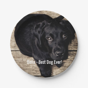 Personalised Black Lab Dog Photo and Dog Name Paper Plate