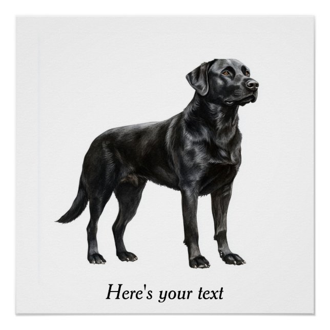Personalised Black Labrador Retriever Decor (Front)
