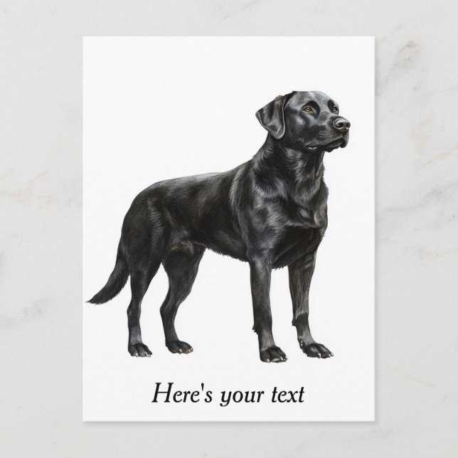 Personalised Black Labrador Retriever Decor Postcard (Front)