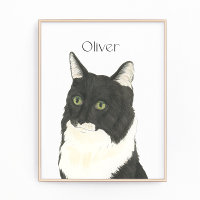 Personalised Black & White Ragamuffin Cat Art