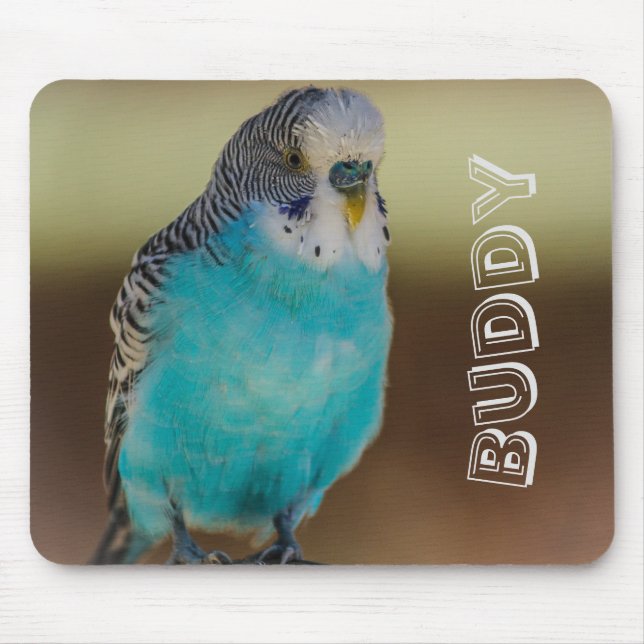 Personalised Blue Budgie Mousepad (Front)
