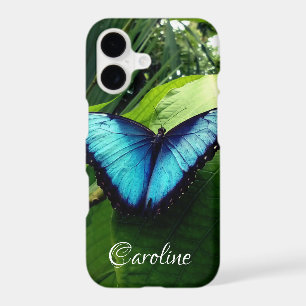 Personalised blue morpho butterfly nature photo