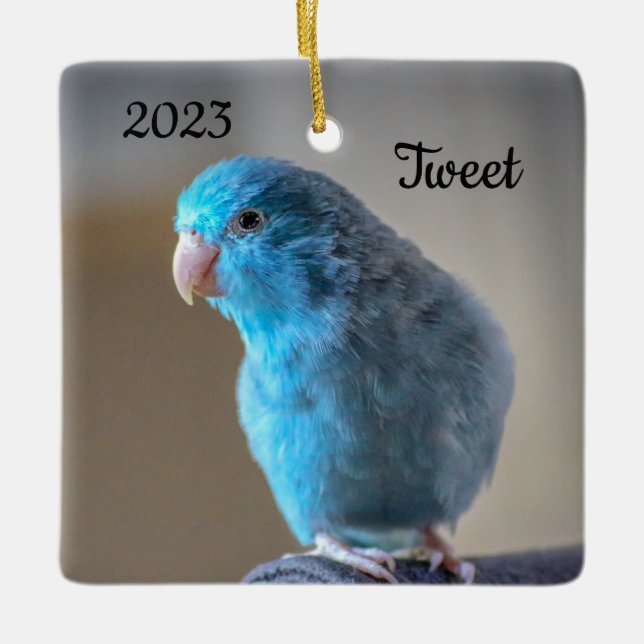 Personalised Blue Parrotlet Bird Ceramic Ornament (Front)