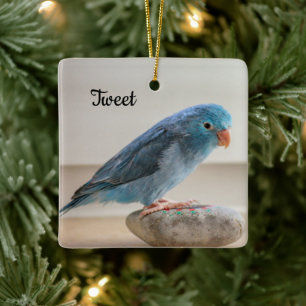 Personalised Blue Parrotlet Bird Ceramic Ornament
