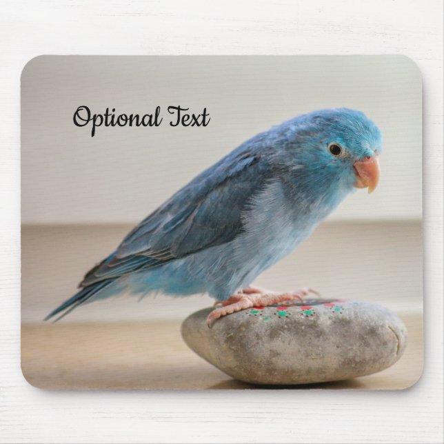 Personalised Blue Parrotlet Bird Mouse Pad (Front)