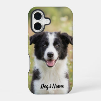 Personalised Border Collie Photo and Name iPhone 16 Case