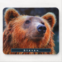 Personalised Brown Bear Portrait Wildlife Photo