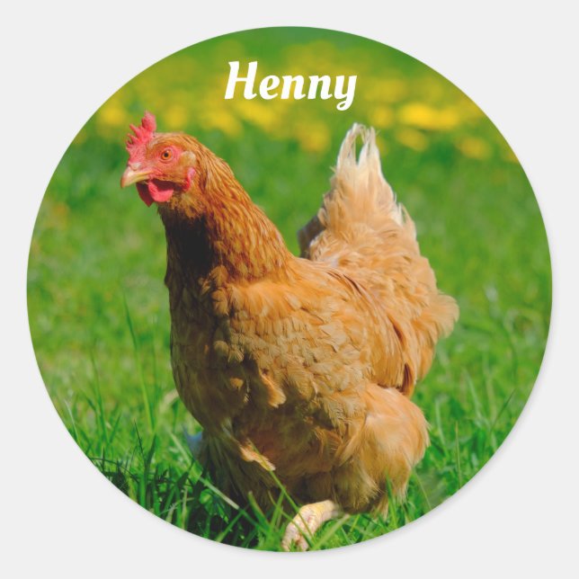 Personalised Brown Chicken in the grass Classic Round Sticker (Front)