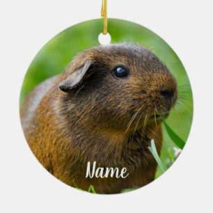 Personalised Brown Guinea Pig Ceramic Ornament