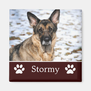 Personalised Brown Pet Photo Magnet