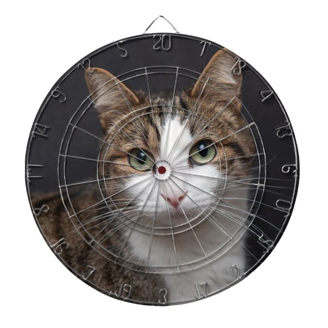  Personalised Brown Tabby Cat Single Pet Photo Dartboard (Front)