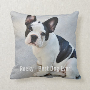 Personalised Bulldog Photo and Bulldog Name Cushion