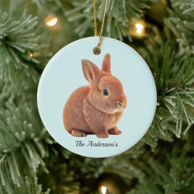 Personalised Bunny on Light Blue Ceramic Ornament (Tree)