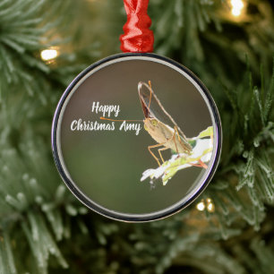 Personalised Butterfly Photo Christmas Ornament