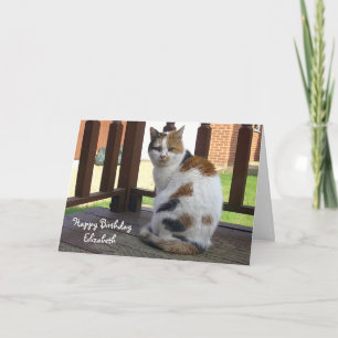 Personalised Calico cat Birthday Card