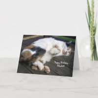 Personalised Calico cat curled up decking Birthday