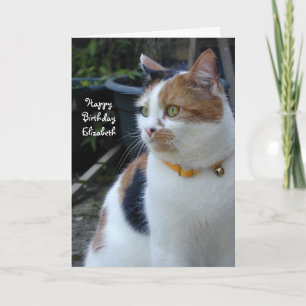 Personalised Calico cute cat Birthday Card
