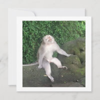 Personalised card - Funny monkey