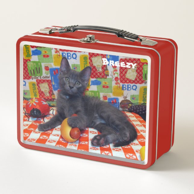 Personalised Cat BBQ / Pic Nic  Metal Lunch Box (Front)
